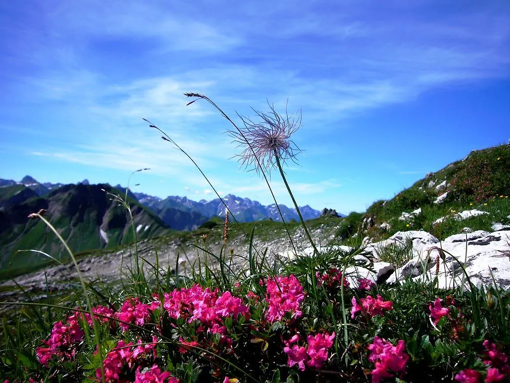 Holiday home Alpenflair Ferienwohnungen 